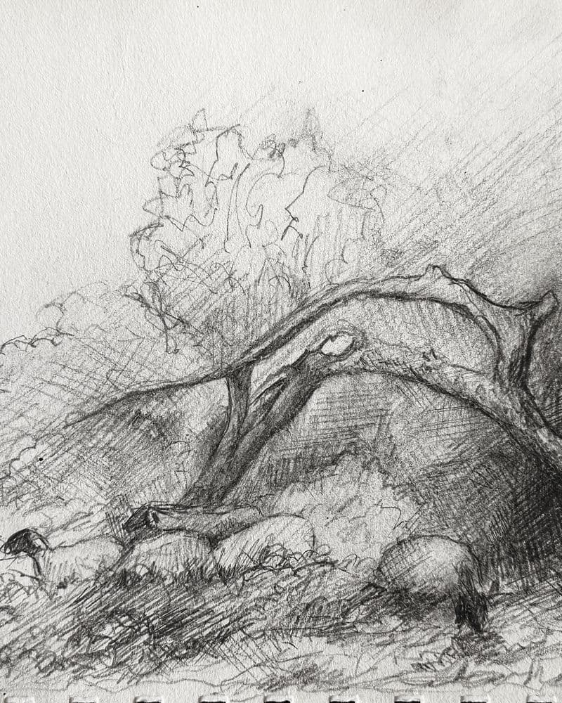 NaturesketchIfarahramadan