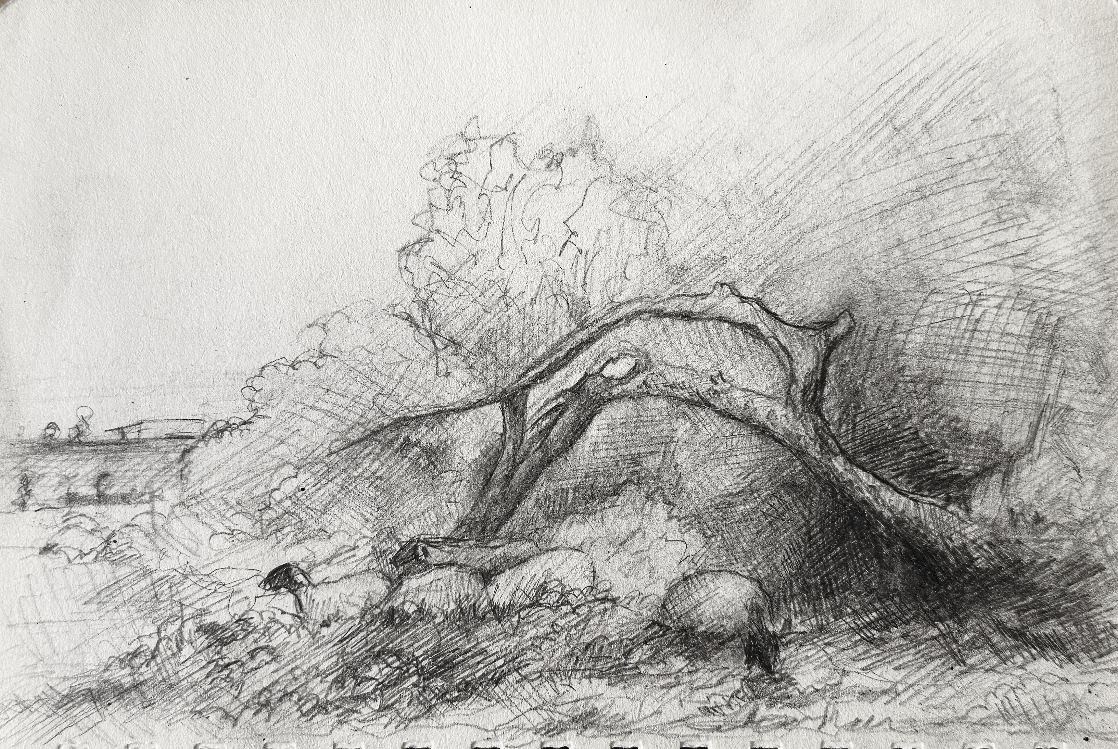 NaturesketchIfarahramadan