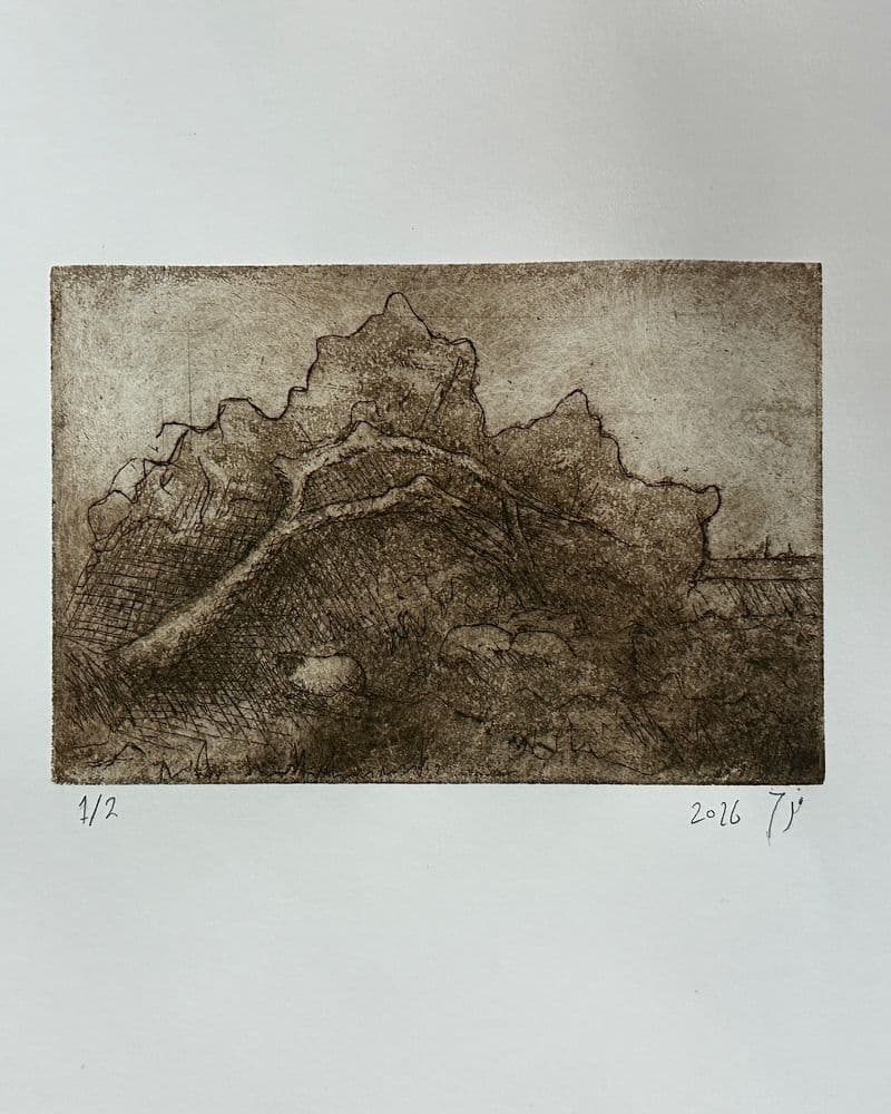 Nature intaglio print 